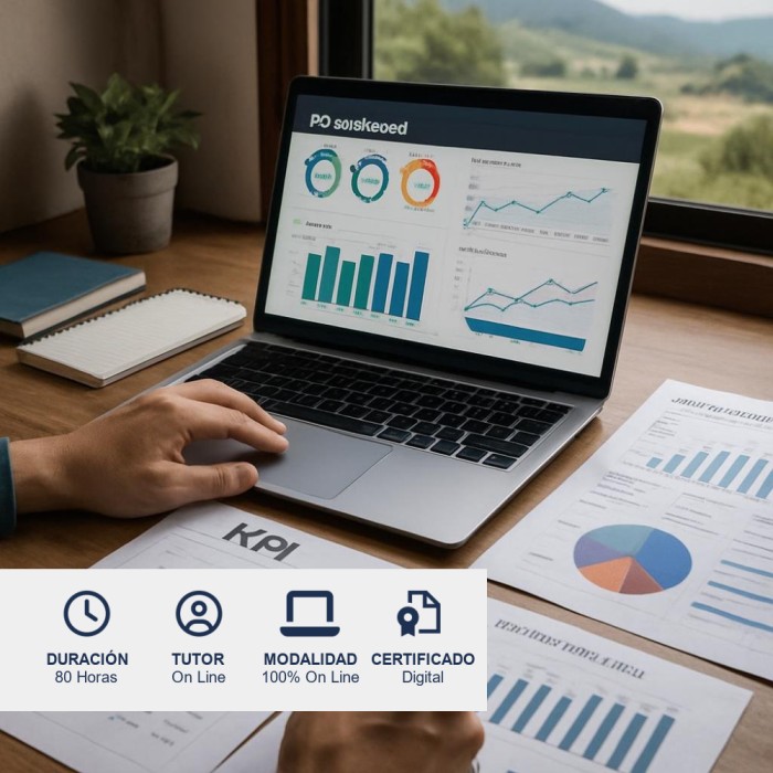 Curso de Indicadores de Gestión y KPI