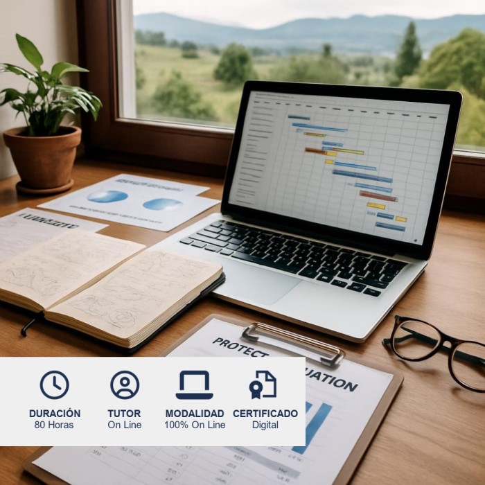 Curso de Formulación y Evaluación de Proyectos
