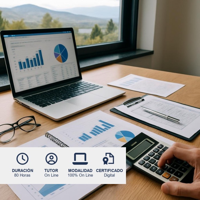 Curso de Análisis de Estados Financieros