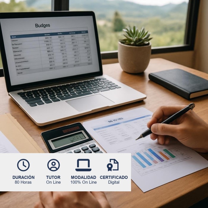 Curso de Elaboración y Control de Presupuestos